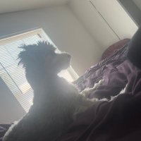 coz misty (@kruzfv23) 's Twitter Profile