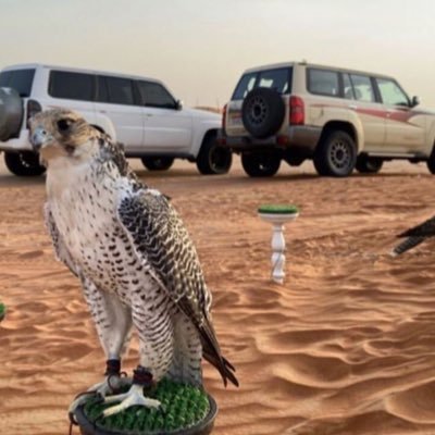 وقفنا على ضلع المراجل وقوف ابطال و كسبنا الثناء يوم الثناء مكسبه كايد 👌🏻