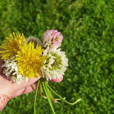 __qwerty_asdf's profile picture. 🍁🇵🇸 ||