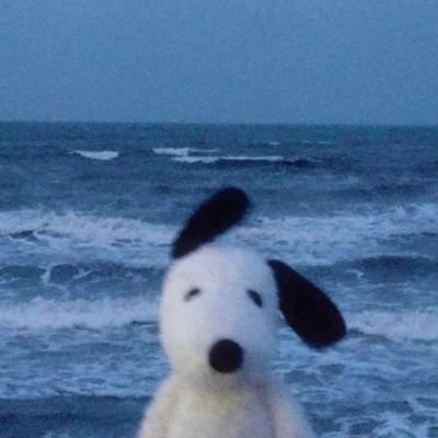 Aditi_858's profile picture. Desi heart, Silicon Valley vision