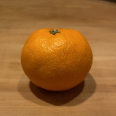lemoncitron77's profile picture. GoBメイン物書き。20↑  GoB関連ツイート予定
