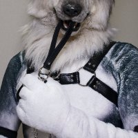 くも/Kumo (@unsei_ad) 's Twitter Profile