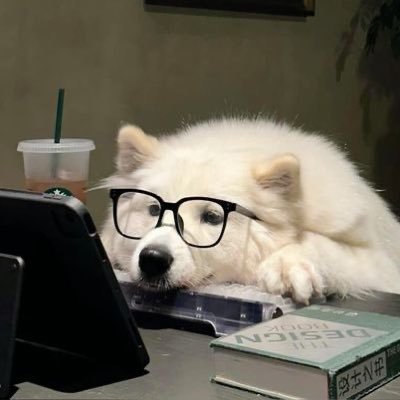 moxtto's profile picture. 