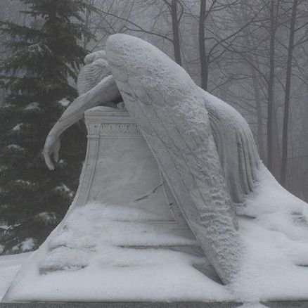 wl_fastic's profile picture. ~*+*height-4'11 sw-40kg cw-36kg gw-32kg ugw-30kg*+*~(not sharing age)