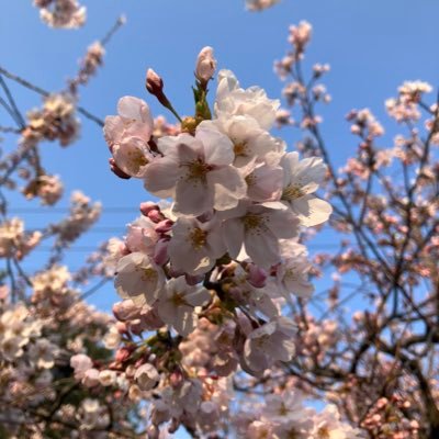 安全副業ご紹介してます！！🙌