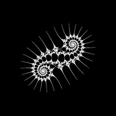 diana_systems's profile picture. 