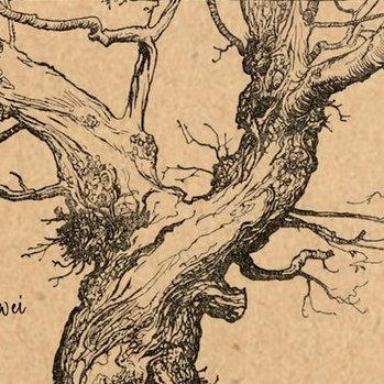 smugvl's profile picture. 