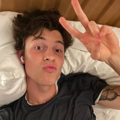 shawnshowyoufan's profile picture. just a girl yapping about Shawn mendes