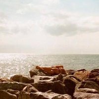 Clelia (@cleliajsheppard) 's Twitter Profile