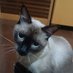 Camarada Zibas (@camarada_zibs) Twitter profile photo Camarada Zibas (@camarada_zibs) Twitter profile photo
