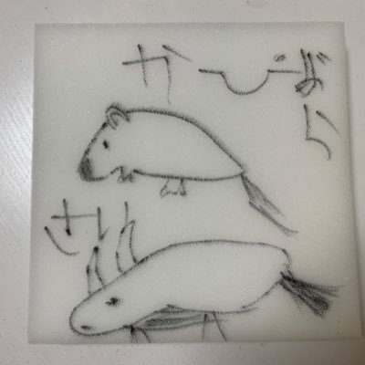 Rabi16mar's profile picture. 