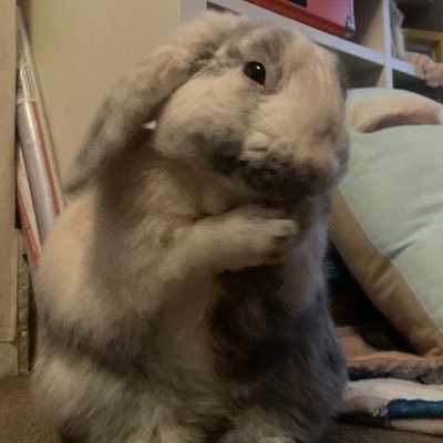 Nev Profile