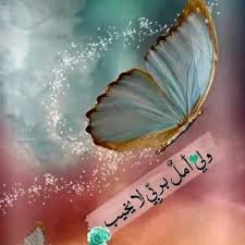 Rajya25jan's profile picture. فلسطين هي البوصلة 
🇵🇸🇵🇸🇵🇸