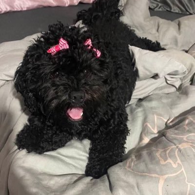 RikuNatsuk's profile picture. 