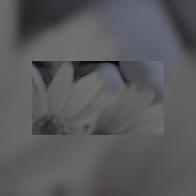 0_Rakshitha_0's profile picture. 