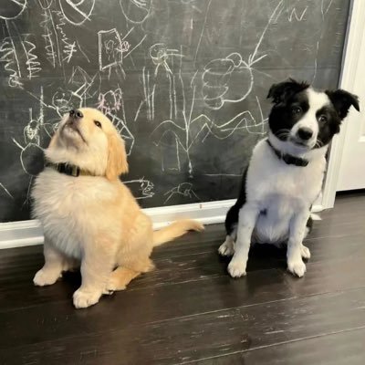 WIK1097932's profile picture. 