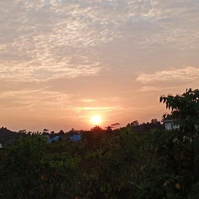 fira51744's profile picture. 