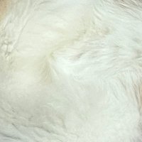 な (@soikorase) 's Twitter Profile Photo な (@soikorase) 's Twitter Profile Photo