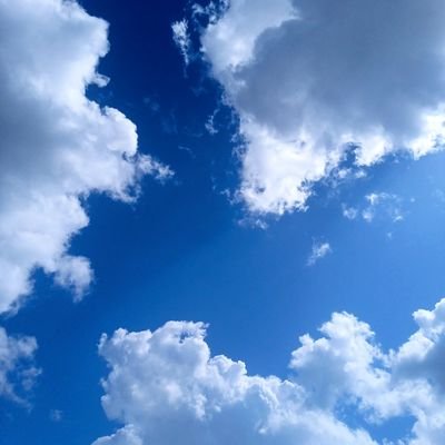 BrianKipya18043's profile picture. Solitude🧘🏾‍♂️✌🏾