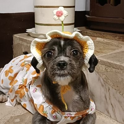 fiedcnh's profile picture. CPA, Oct 2025 🎉