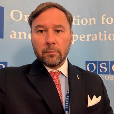 Deputy Permanent Representative of Ukraine to the International Organizations in Vienna