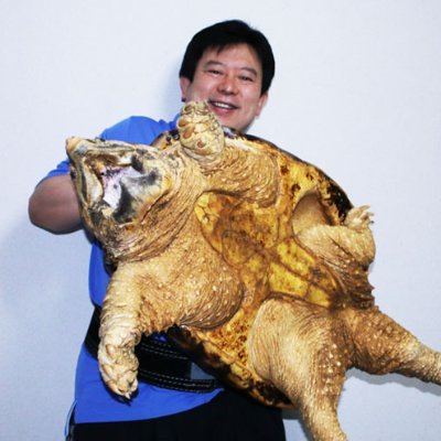 animaltencho's profile picture. アニマルネットワーク代表
ワニ、ワニガメ、ピットブルの猛獣使い　空手三段、柔道三段、剣道初段　上智大卒　元日商岩井勤務　TOEIC 900点　ポルトガル語　アームレスリング　大型バイク　貿易実務　握力90㎏　176cm 105kg　59才