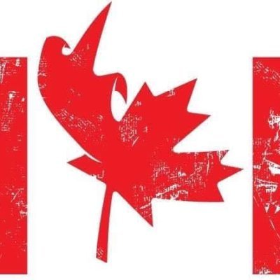 DontBeDumb71's profile picture. 