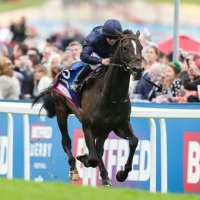 Sam 🐎 (@horseracingsam) 's Twitter Profile Photo
