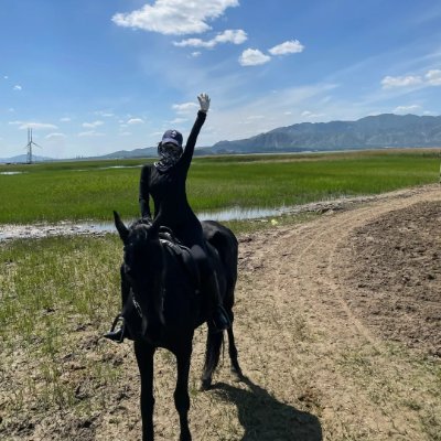 The3LifeISee's profile picture. Galloping towards greatness