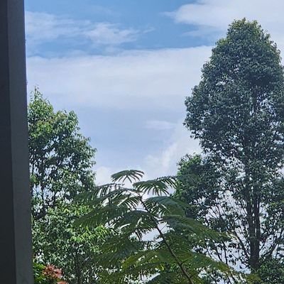 MrrSiang's profile picture. Can someone donate to me, My user is Mrrsiang.
PLS DONATE ME IN WORLD PLS DONATE