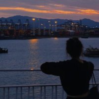 Isla (@vvnde17826252) 's Twitter Profile