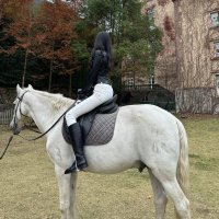 Alice🐏 (@alice19luai) 's Twitter Profile