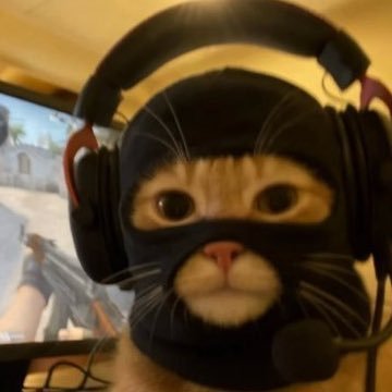 ElioPatric28232's profile picture. Vive les zfr