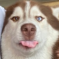 วันดาทิ (@wwandathii) 's Twitter Profile