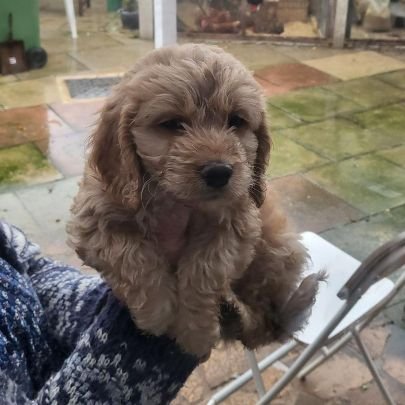 LindaHanna29842's profile picture. I'm Here For That Truthworthy, Romantic, Caring, Lovely And Understanding Man For Soulmate ❤️