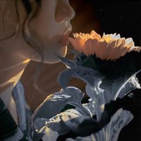 TeresaDryden (@6b2k40ml4kuhd) 's Twitter Profile