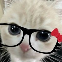 Louisa (@archangeleic) 's Twitter Profile