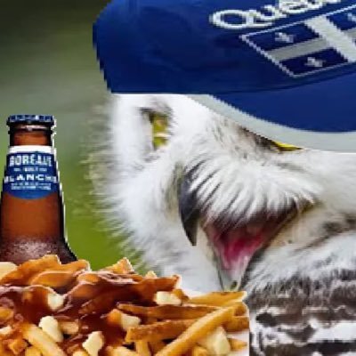 Vive le Québec libre ! Disciple de Luc Morgan. Compte secondaire : @BleuBlanSympa