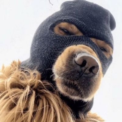 ehTsicnarF's profile picture. God first. 
Love Laugh Live.