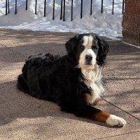 Mr. Smith (@petersm12734885) 's Twitter Profile