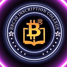 Brc20university's profile picture. Inscrib your dream