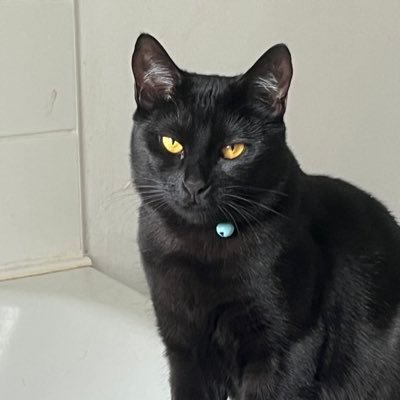 beccah_xx's profile picture. 21+12. 🖤💍. PS5/Switch. Your average Moira ☠️ & Illari 🦙 main. Cat mam to Cody ❤️ & Tifa💙