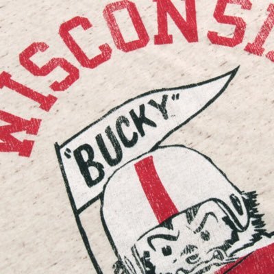 @UWBadgers Athletics Development | #OnWisconsin