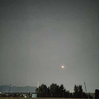 armemosalgo's profile picture. En renovación...