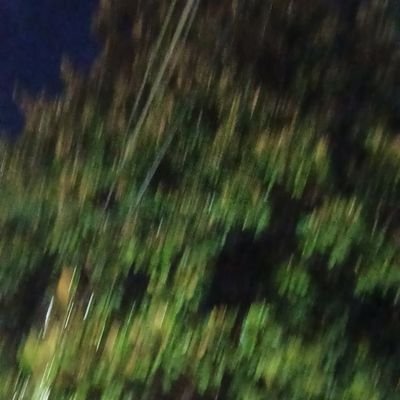 tweetsbykaabir's profile picture. Oscillating between nafs and noor!