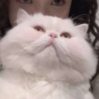 EudoraSymons (@1imlxz7xo3ubbt) 's Twitter Profile