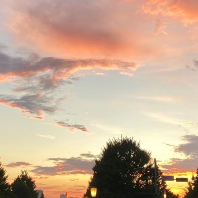 suzuran_139's profile picture. 和装•民謡・盆踊り好きアラフィフ50❤︎OL兼和裁学生📍🧵