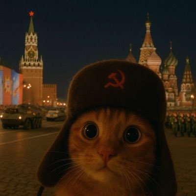 LaL4cas's profile picture. 