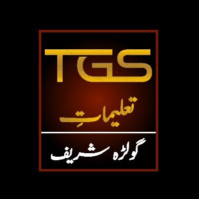 talimategolra's profile picture. Available on all social media platform's as Talimat e Golra Sharif
