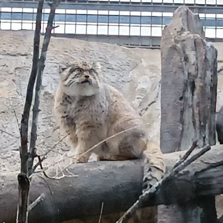 masami52691923's profile picture. 